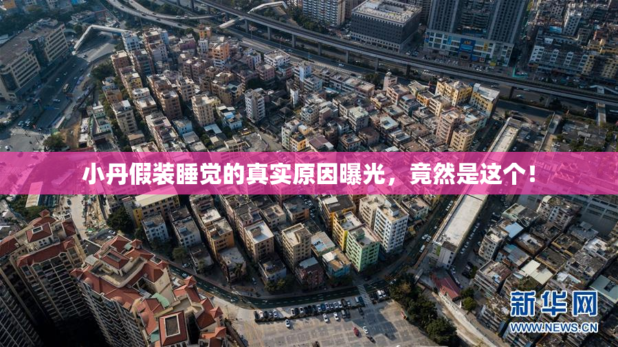 小丹假装睡觉的真实原因曝光，竟然是这个！