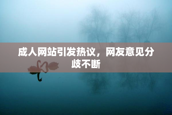 成人网站引发热议，网友意见分歧不断