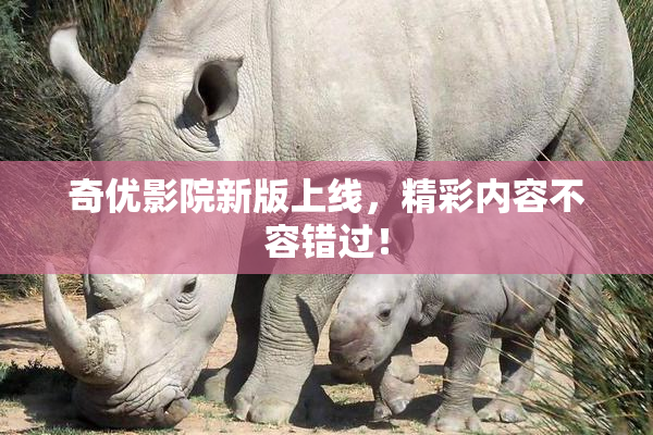 奇优影院新版上线，精彩内容不容错过！