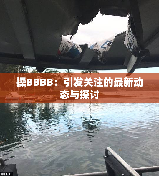 搡BBBB：引发关注的最新动态与探讨
