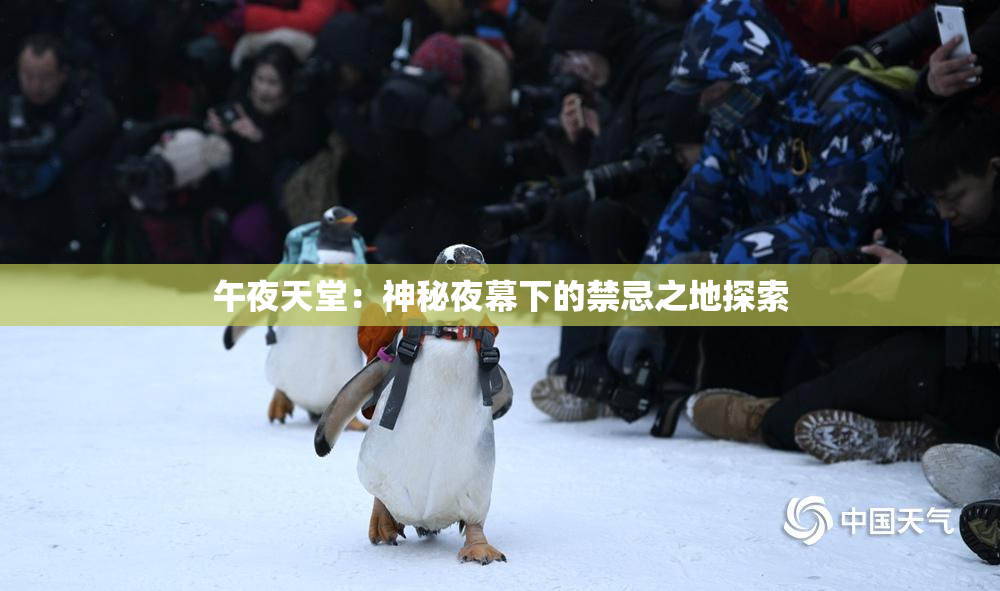 午夜天堂：神秘夜幕下的禁忌之地探索