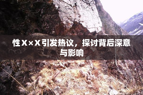 性Ⅹ×Ⅹ引发热议，探讨背后深意与影响