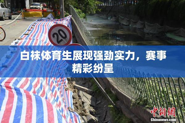 白袜体育生展现强劲实力，赛事精彩纷呈