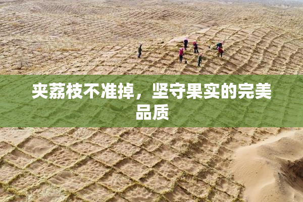 夹荔枝不准掉，坚守果实的完美品质