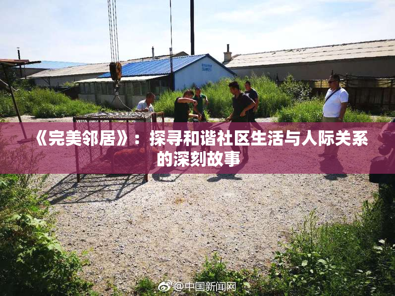 《完美邻居》：探寻和谐社区生活与人际关系的深刻故事