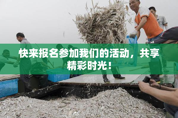 快来报名参加我们的活动，共享精彩时光！