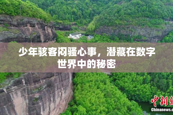 少年骇客闷骚心事，潜藏在数字世界中的秘密