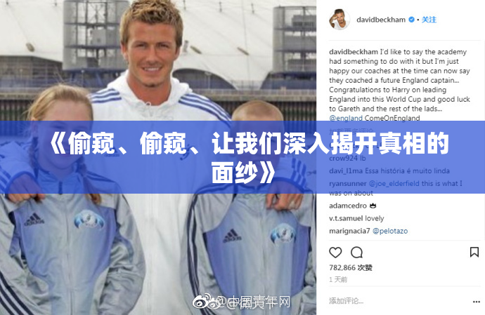 《偷窥、偷窥、让我们深入揭开真相的面纱》