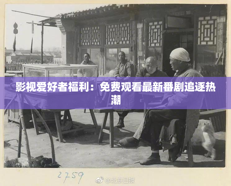 影视爱好者福利：免费观看最新番剧追逐热潮