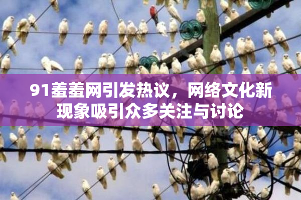 91羞羞网引发热议，网络文化新现象吸引众多关注与讨论