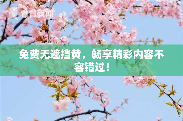 免费无遮挡黄，畅享精彩内容不容错过！
