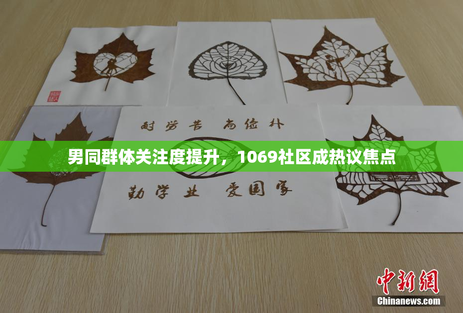 男同群体关注度提升，1069社区成热议焦点