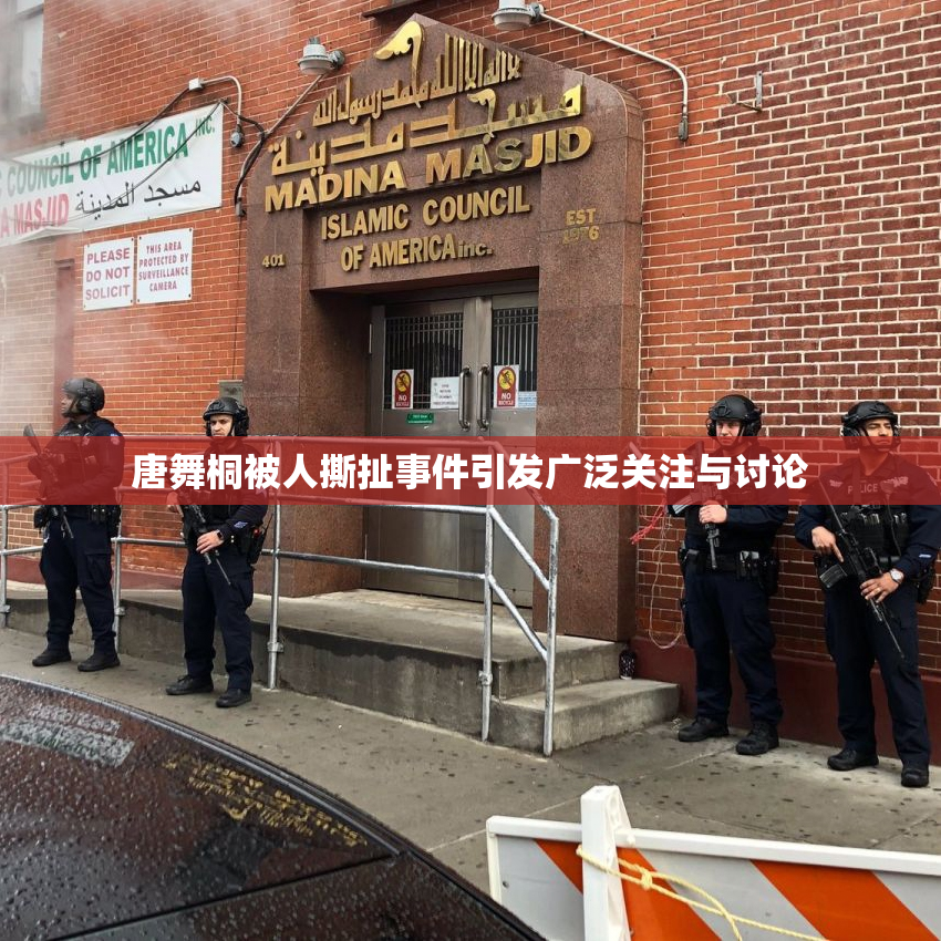 唐舞桐被人撕扯事件引发广泛关注与讨论