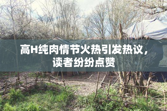 高H纯肉情节火热引发热议，读者纷纷点赞