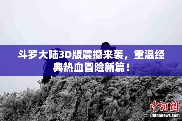 斗罗大陆3D版震撼来袭，重温经典热血冒险新篇！
