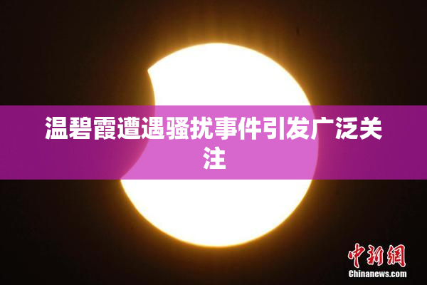 温碧霞遭遇骚扰事件引发广泛关注