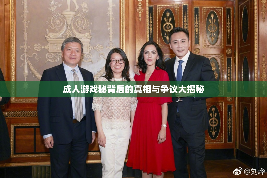 成人游戏秘背后的真相与争议大揭秘