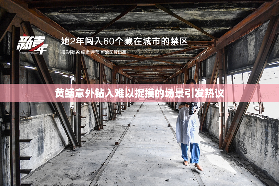 黄鳝意外钻入难以捉摸的场景引发热议