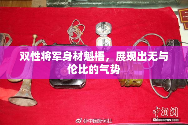 双性将军身材魁梧，展现出无与伦比的气势