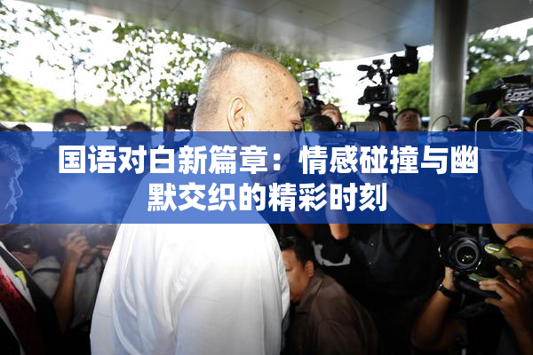 国语对白新篇章：情感碰撞与幽默交织的精彩时刻