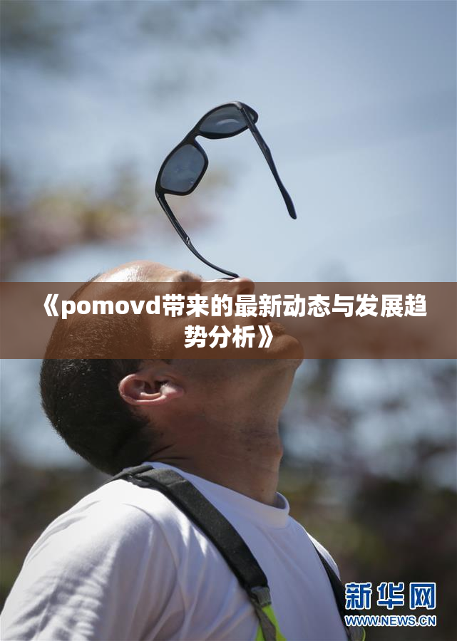 《pomovd带来的最新动态与发展趋势分析》