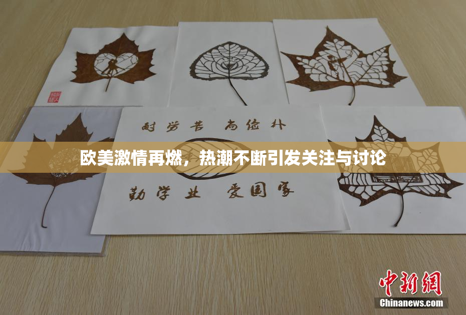 欧美激情再燃，热潮不断引发关注与讨论