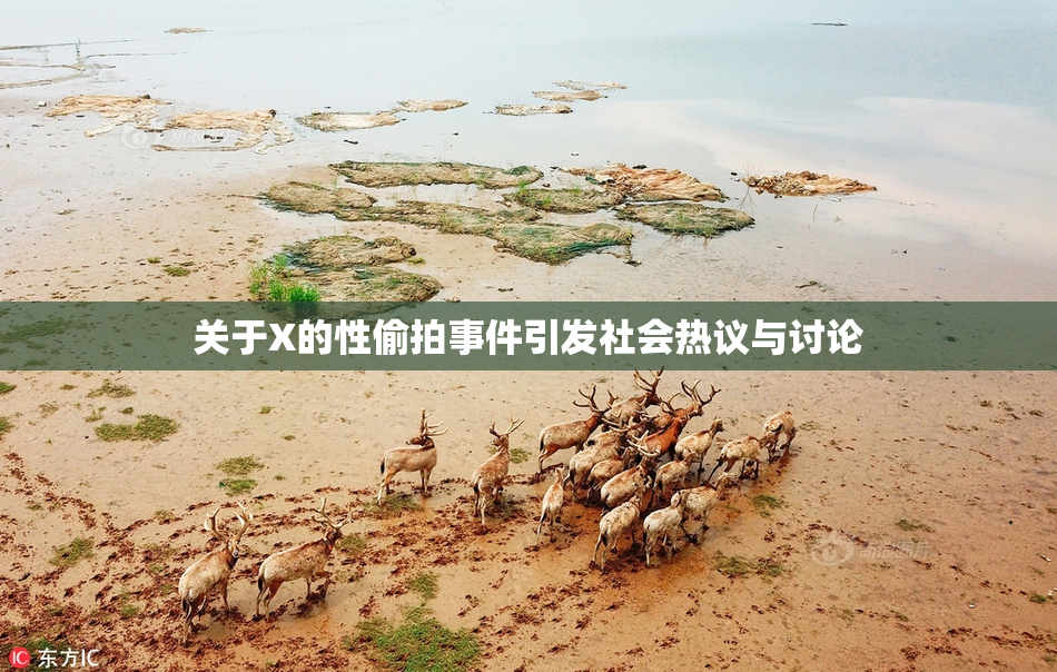 关于X的性偷拍事件引发社会热议与讨论