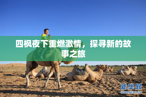 四枫夜下重燃激情，探寻新的故事之旅