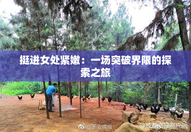 挺进女处紧嫩：一场突破界限的探索之旅