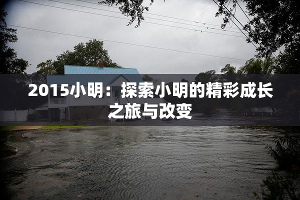 2015小明：探索小明的精彩成长之旅与改变