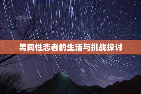男同性恋者的生活与挑战探讨