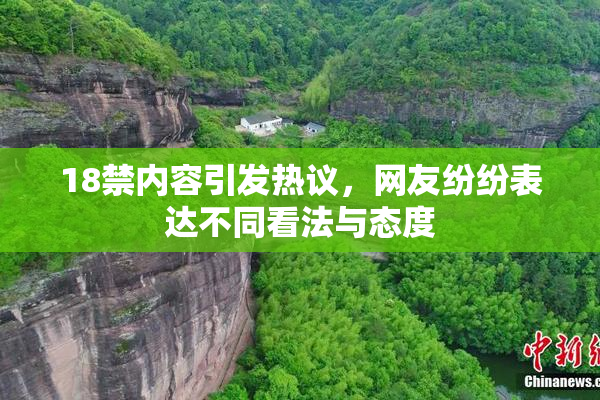 18禁内容引发热议，网友纷纷表达不同看法与态度