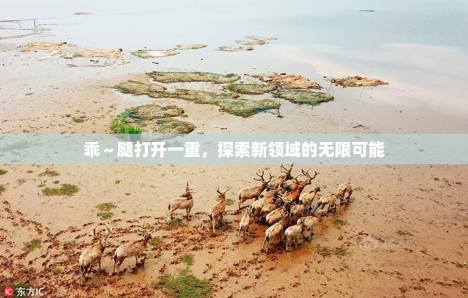 乖～腿打开一重，探索新领域的无限可能