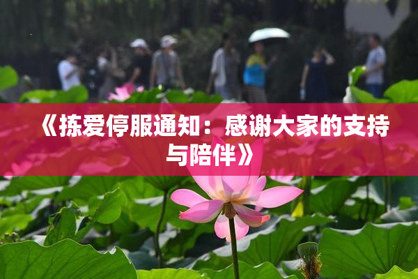 《拣爱停服通知：感谢大家的支持与陪伴》