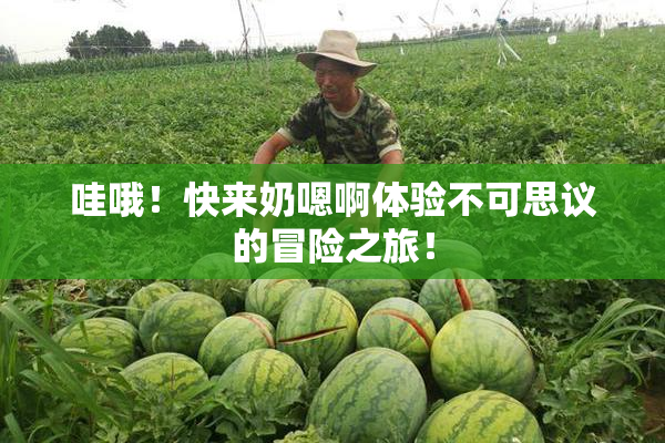 哇哦！快来奶嗯啊体验不可思议的冒险之旅！