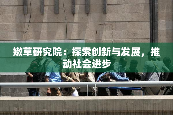嫩草研究院：探索创新与发展，推动社会进步