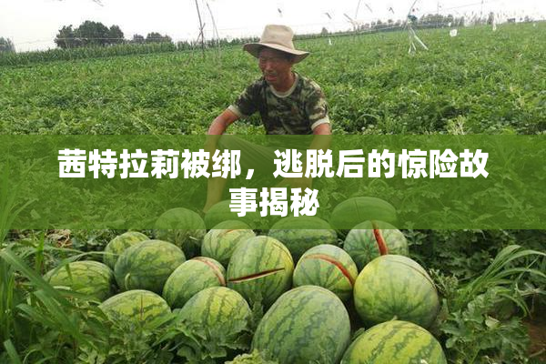 茜特拉莉被绑，逃脱后的惊险故事揭秘