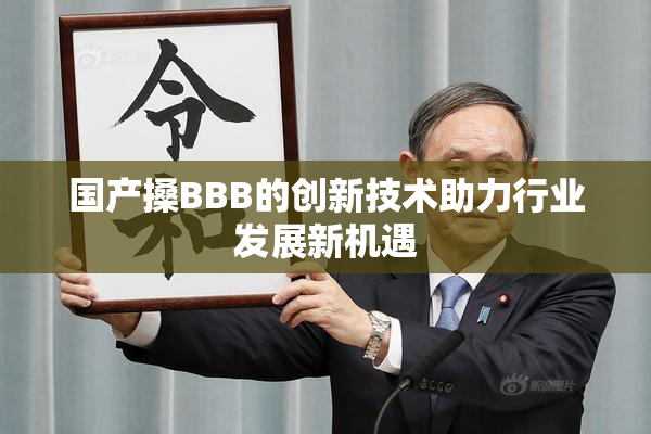 国产搡BBB的创新技术助力行业发展新机遇