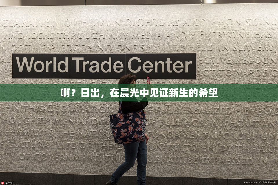啊？日出，在晨光中见证新生的希望