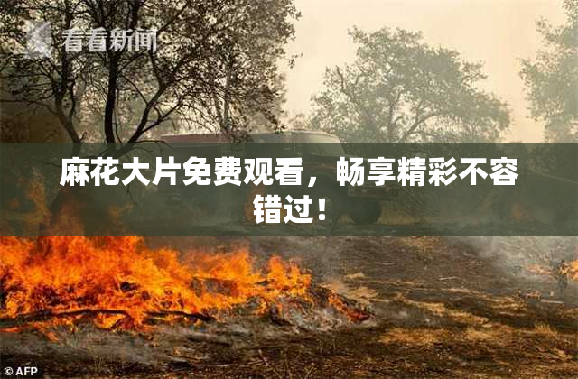 麻花大片免费观看，畅享精彩不容错过！