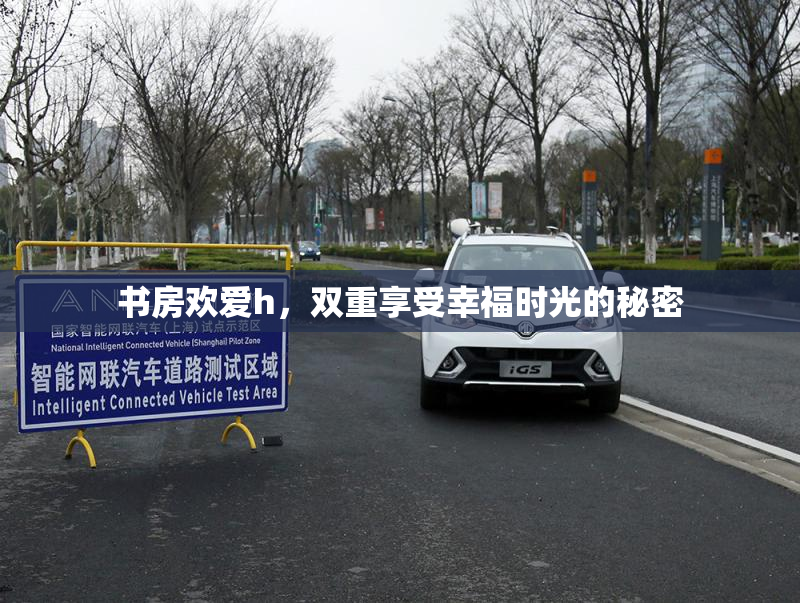 书房欢爱h，双重享受幸福时光的秘密