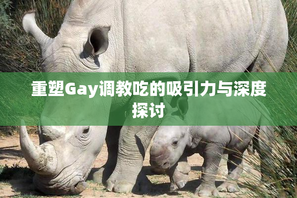 重塑Gay调教吃的吸引力与深度探讨