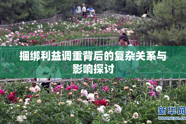 捆绑利益调重背后的复杂关系与影响探讨