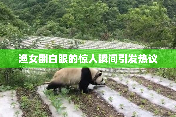 渔女翻白眼的惊人瞬间引发热议