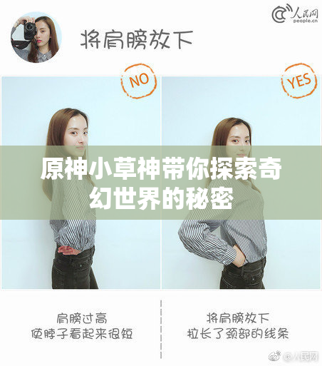 原神小草神带你探索奇幻世界的秘密
