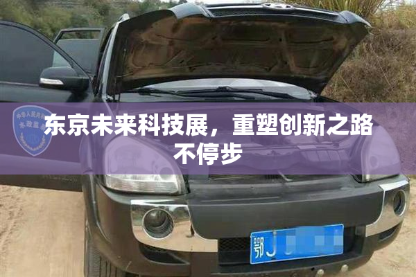东京未来科技展，重塑创新之路不停步