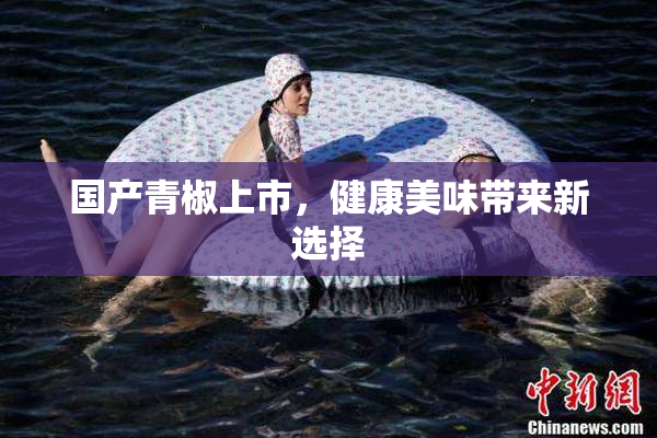 国产青椒上市，健康美味带来新选择