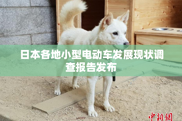 日本各地小型电动车发展现状调查报告发布
