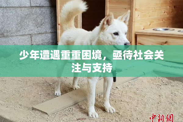 少年遭遇重重困境，亟待社会关注与支持