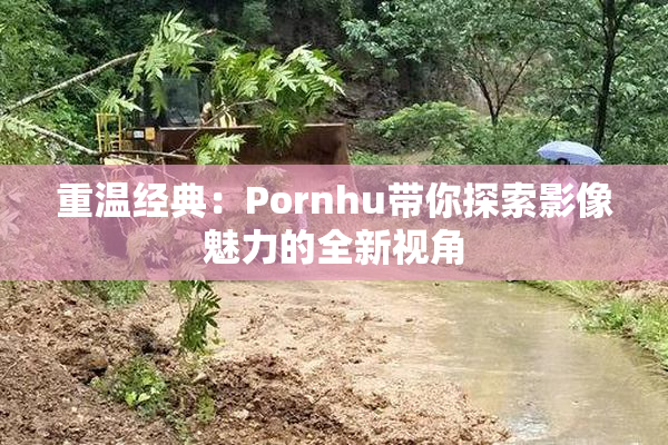 重温经典：Pornhu带你探索影像魅力的全新视角